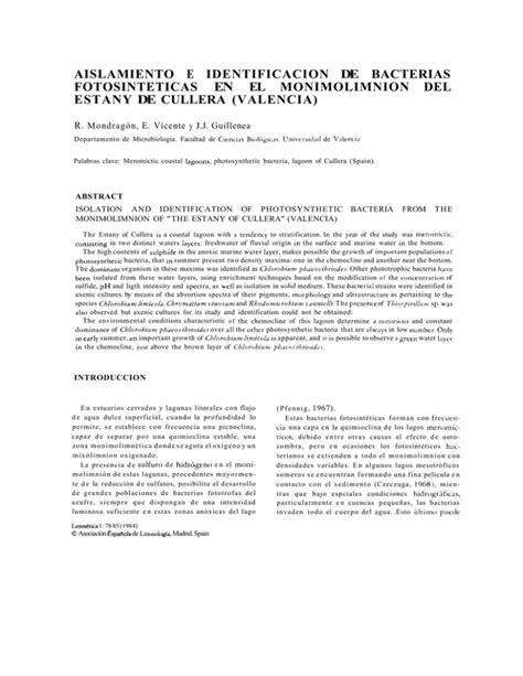 Aislamiento E Identificaci N De Bacterias Fotosint Ticas