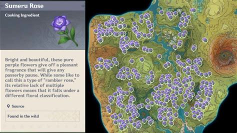 Where To Get Sumeru Roses In Genshin Impact Sumeru Rose Locations