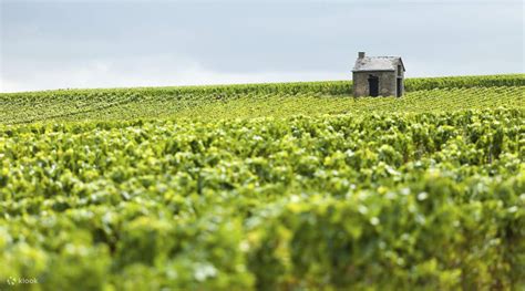 Guided Tour of Reims Champagne Region from Paris - Klook