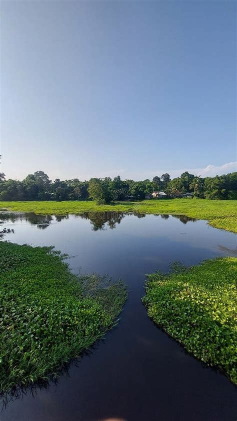 Majuli Island the World S Largest River Island Stock Image - Image of ...