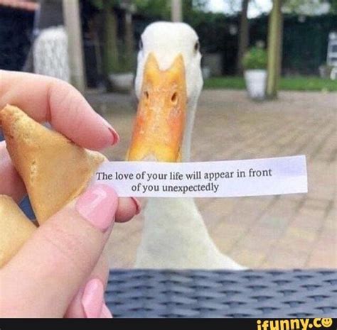 The Love Of Your Life Will Appear In Front Of You Unexpectedly Ifunny