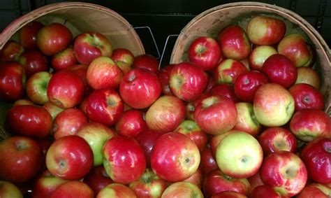 An Apple A Day Pahls Market Apple Valley Mn