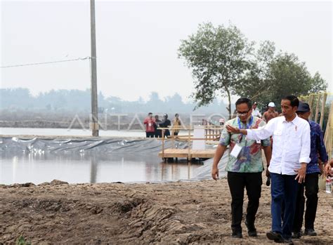 Penyerahan Izin Pemanfaatan Lahan Tambak Perhutanan Sosial Antara Foto