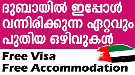 Gulf Jobs Malayalam Gulf Job Vacancy Malayalam Dubai Jobs Gulf