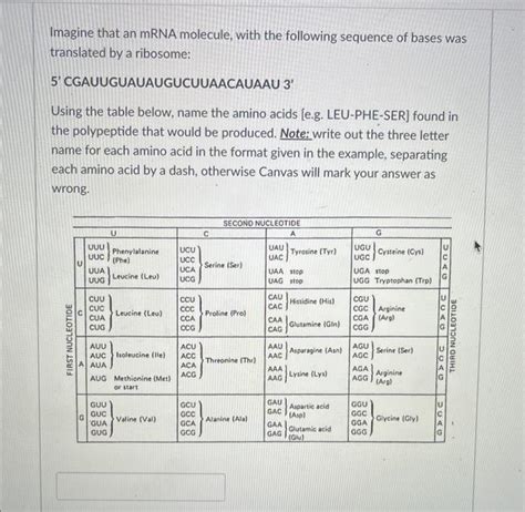 Solved Imagine That An Mrna Molecule With The Following Chegg