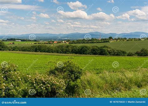 Paisaje Rural Panor Mico Con Id Licos Y Extensos Campos De Cebada Verde