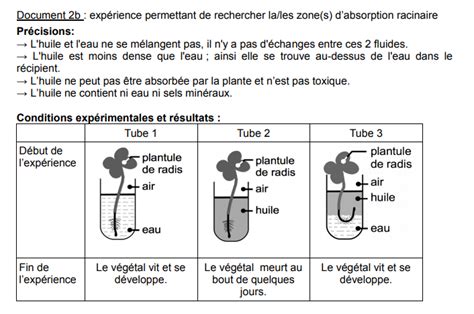 Sujet de SVT au brevet des collèges Vive les SVT