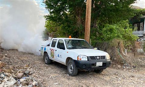 Inician Ciclo de fumigación en Santa Rosalía contra el mosco del dengue