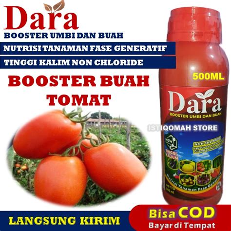 Jual Pupuk Booster Buah Tomat Manjur Dara Ml Pupuk Pelebat Dan