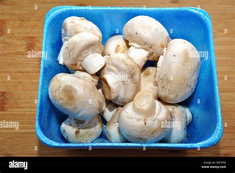 Whole White Mushrooms In A Blue Container Stock Photo Alamy