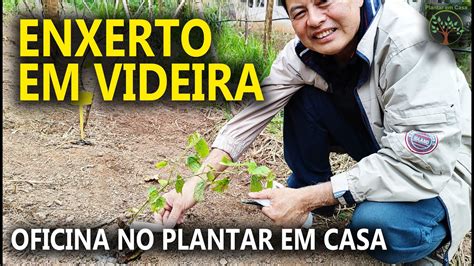 Enxertia Em Videira Aula No Plantar Em Casa Youtube