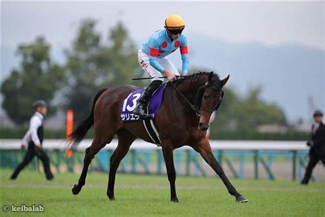 【ダイヤモンドs】サリエラ＆ハーツイストワールを2頭出し！指揮官の勝算は 競馬ニュース 競馬ラボ