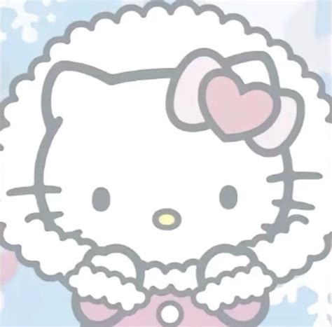 winter  kitty pfp  kitty images  kitty  kitty