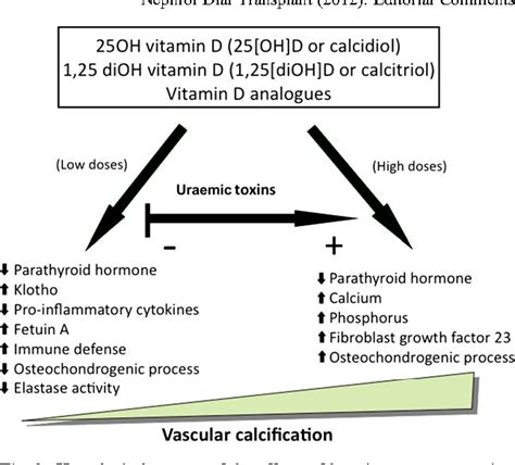 Figure 1 From Role Of Vitamin D In Vascular Calcification Bad Guy Or