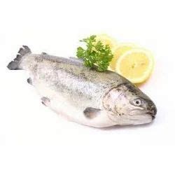 organic fish  rs kilograms   delhi id