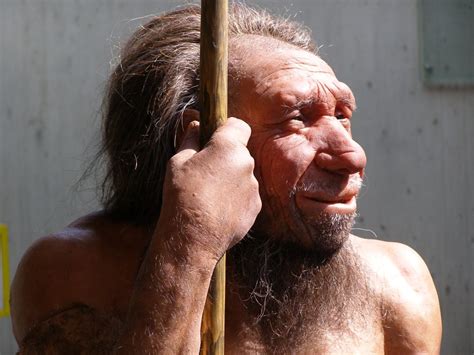 50 Surprising Neanderthal Facts About These Extinct Humans