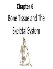 Chapter Bone Tissue The Skeletal System Ada Pptx Chapter Bone