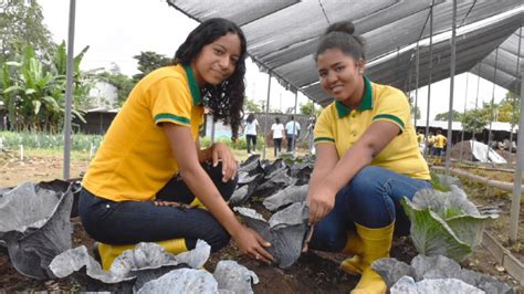 Unidad Educativa Nueva Concordia Realiz Casa Abierta Y Exposici N De