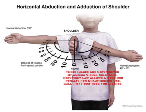 Shoulder Horizontal Abduction And Adduction