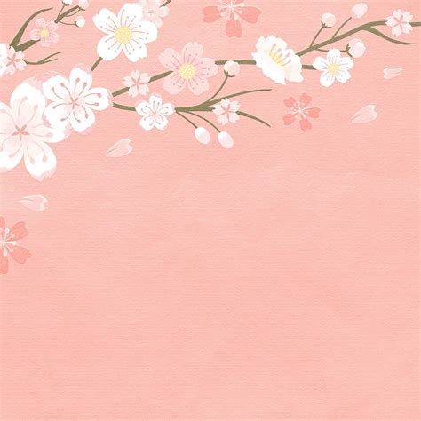 Spring Background Psd With Pink Sakura Cherry Blossom Border Free