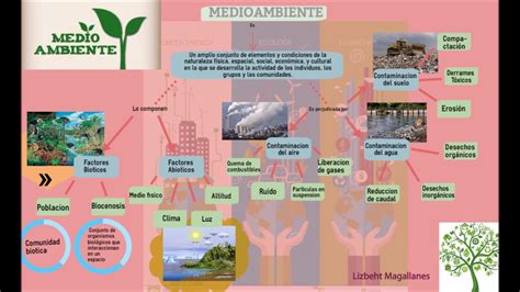 Top Imagen Mapa Mental De La Contaminacion Del Suelo Viaterra Mx 195264