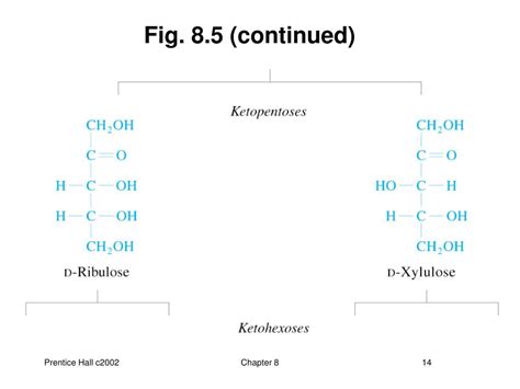 Ppt Principles Of Biochemistry Third Edition Powerpoint Presentation