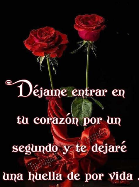 Two Red Roses In A Vase With The Words Diame Entrar Tu Coran Por Un