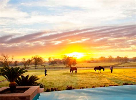 8 Ranches to Visit in Texas