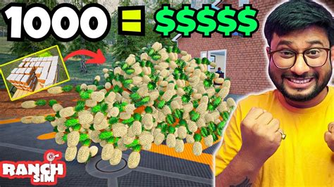 Finally Selling 1000 Pineapple And Made Ranch Simulator 44