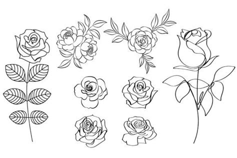 Rose Flowers Line Drawing Artwork Set Graphic By Subujayd · Creative