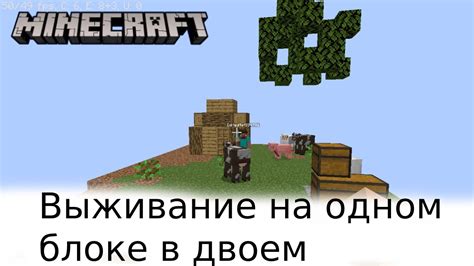 Minecraft Выживание на одном блоке YouTube