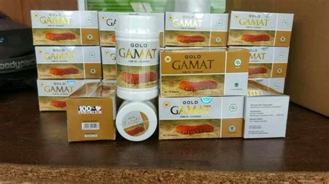 Jual Gold Gamat Plus Kapsul Ekstrak Gamat Emas Di Lapak Muray Shop