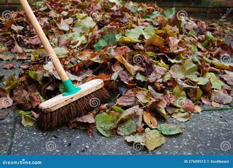 Pile Of Autumn Leaves On Backyard Patio With Broom Stock Image Image