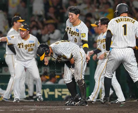 神2―1日 阪神がサヨナラ勝利、村上が5回無失点の好投 日本ハムは3連敗 産経ニュース