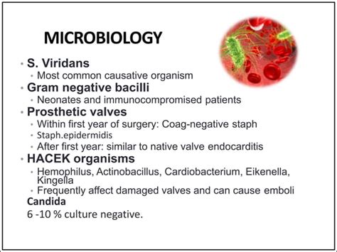 Infective Endocarditis Paediatrics Ppt