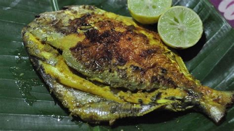 Green Masala Fish Recipe By Zakir Qureshi Sea Food Recipes In English