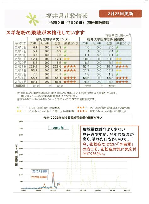 スギ花粉飛散が本格化！初期療法を始めるなら今です！ ふじい眼科クリニックからのお知らせ