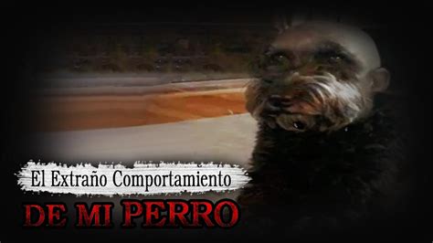 El Extra O Comportamiento De Mi Perro Historias De Terror Rede Youtube