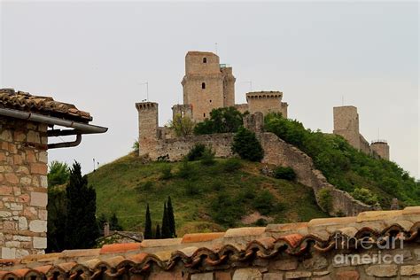 Assisi 16 Photograph by Theresa Ramos-DuVon - Fine Art America