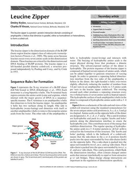 Leucine Zipper