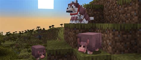 Armadillo rolls into testing | Minecraft