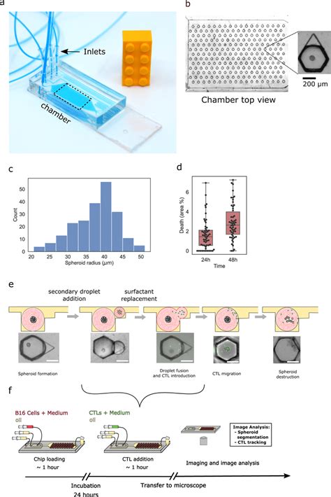 Microfluidic Immuno Oncology Chip And Protocol A Microfluidic Chip On A