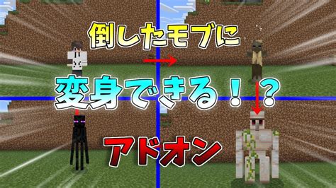 【マイクラ統合版be】倒したモブに変身できる！？変身アドオン！【アドオン】【ゆっくり実況】 Youtube