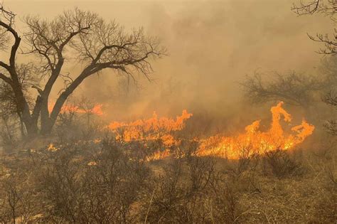 Power Lines May Have Ignited The Largest Wildfire In Texas History