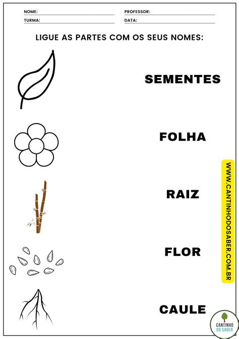 Atividades Para O Dia Da Rvore Parte