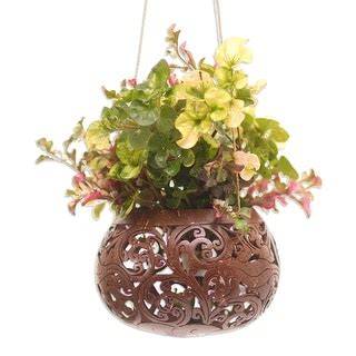 Novica Handmade Tropical House In Lizard Coconut Shell Hanging Planter