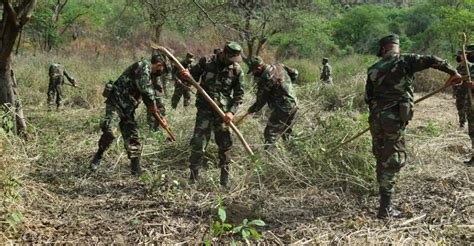 Ej Rcito Y Marena Realizan Jornada De Reforestaci N En Nejapa