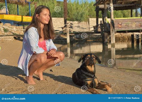 Chica Joven En Bikini Y Perro En La Playa Imagen De Archivo Imagen De Feliz Perro