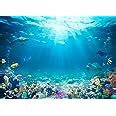 Amazon BELECO Underwater World Backdrop 7x5ft Fabric Undersea