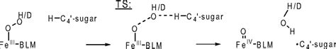 Further Insights Into The Mechanism Of The Reaction Of Activated